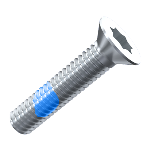 Thread-Locking Screw ISO14581 M3x4 Galvanized Steel 4.8 Torx Blue PA Patch